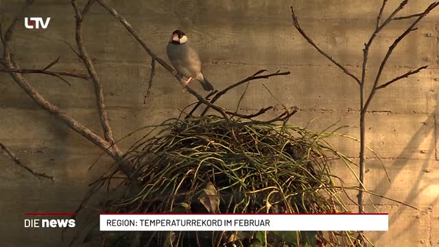 Region: Temperaturrekord im Februar