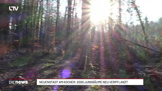 Neuenstadt am Kocher: 2000 Jungbäume neu verpflanzt