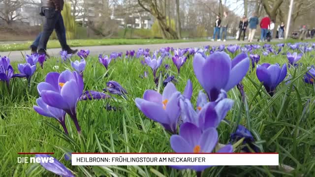 Heilbronn: Frühlingstour am Neckarufer