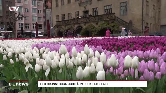 Heilbronn: BUGA-Jubiläum lockt Tausende