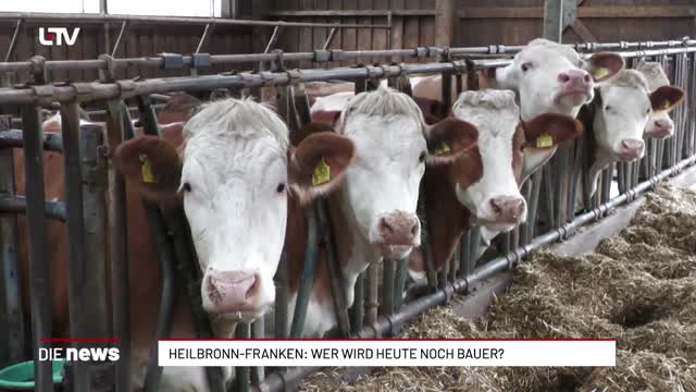 Heilbronn-Franken: Wer wird heute noch Bauer?