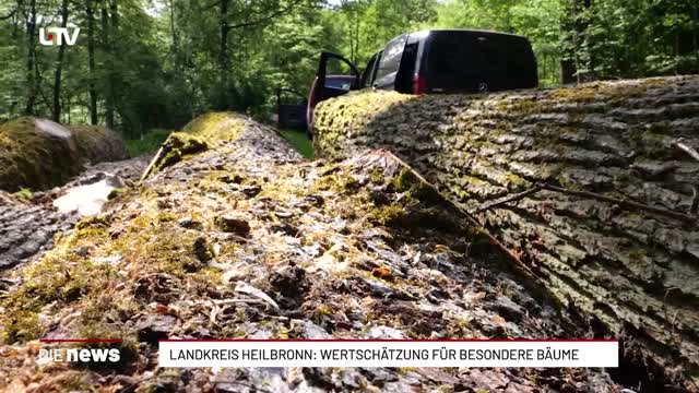 Landkreis Heilbronn: Wertschätzung für besondere Bäume