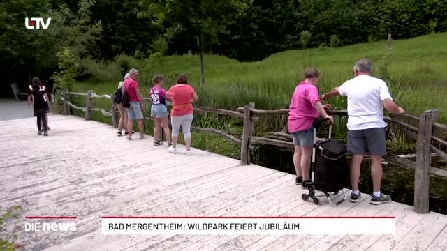 Bad Mergentheim: Wildpark feiert Jubiläum