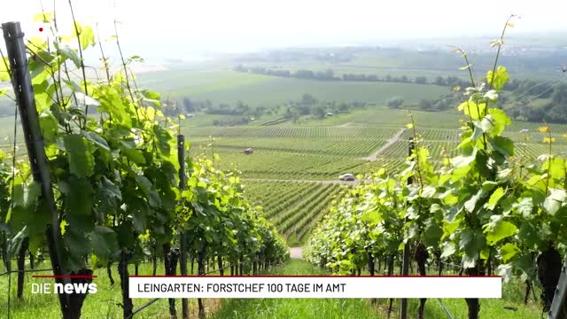 Leingarten: Forstchef 100 Tage im Amt