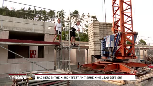 Bad Mergentheim: Richtfest am Tierheim-Neubau gefeiert