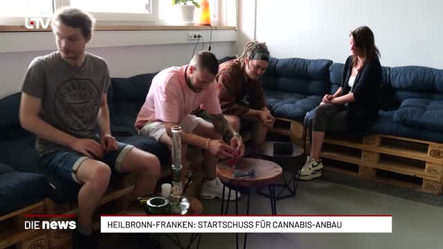 Heilbronn-Franken: Startschuss für Cannabis-Anbau