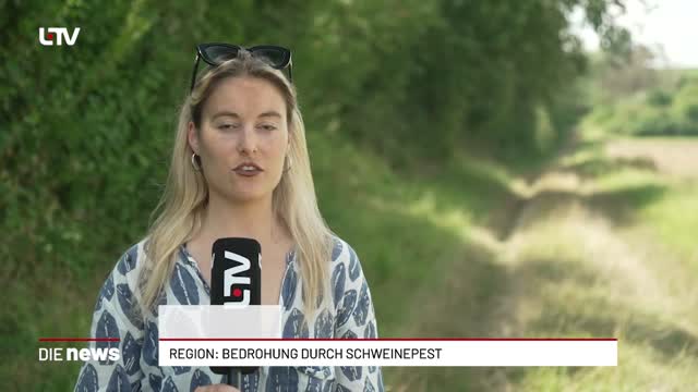 Region: Bedrohung durch Schweinepest 