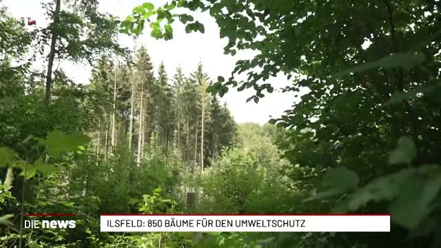 Ilsfeld: 850 Bäume für den Klimaschutz