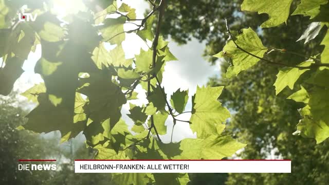 Heilbronn-Franken: Alle Wetter!