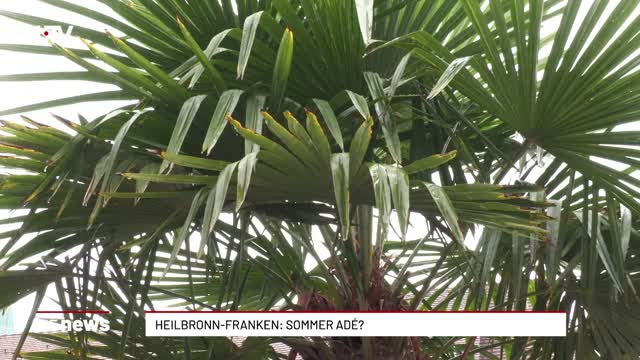 Heilbronn-Franken: Sommer adé?