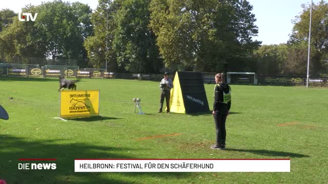 Heilbronn: Festival für den Schäferhund