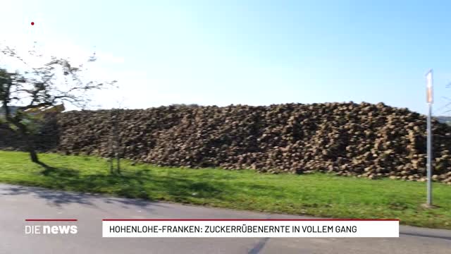 Hohenlohe-Franken: Zuckerrübenernte in vollem Gang