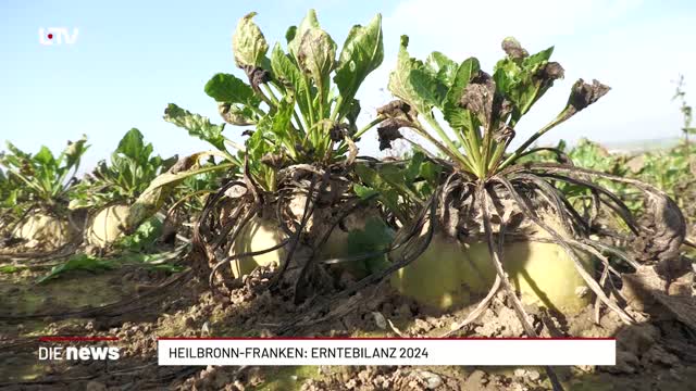 Heilbronn-Franken: Erntebilanz 2024