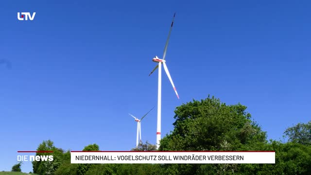 Niedernhall: Vogelschutz soll Windräder verbessern