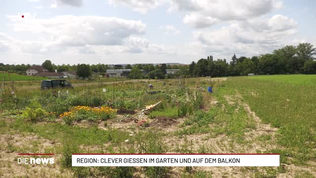 Region: Clever gießen im Garten und auf dem Balkon