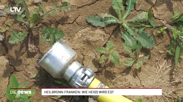 Heilbronn-Franken: Wie heiss wird es?