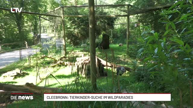 Cleebronn: Tierkinder-Suche im Wildparadies
