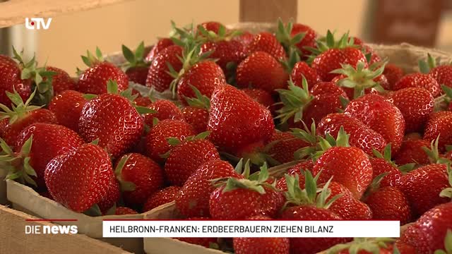 Heilbronn-Franken: Erdbeerbauern ziehen Bilanz