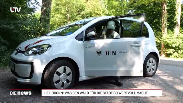 Heilbronn: Was den Wald für die Stadt so wertvoll macht