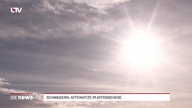 Schwaigern: Affenhitze im Affengehege