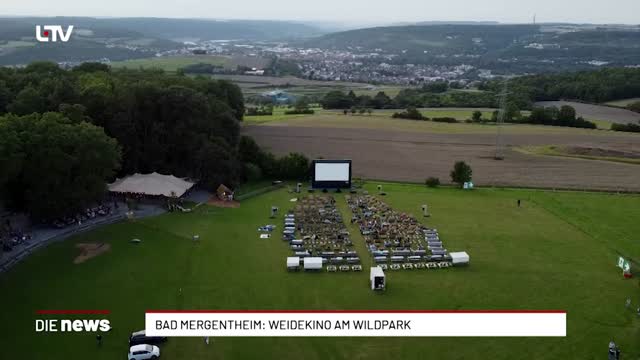 Bad Mergentheim: Weidenkino am Wildpark 