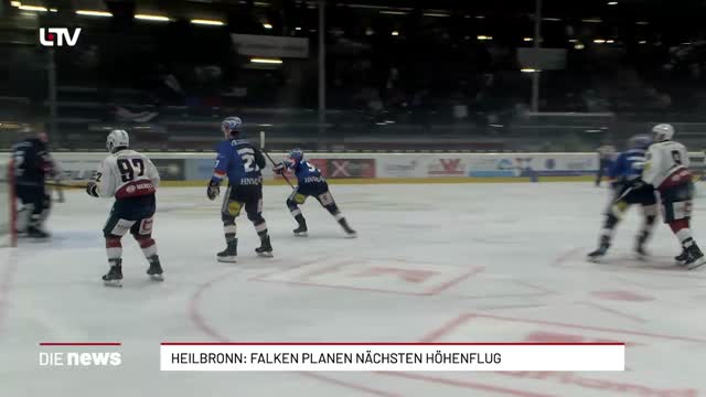 Heilbronn: Falken planen nächsten Höhenflug