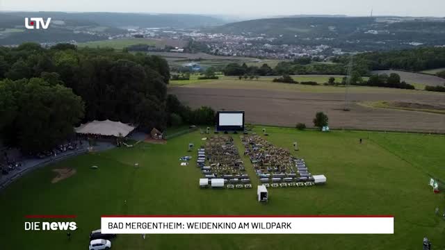 Bad Mergentheim: Weidenkino am Wildpark 