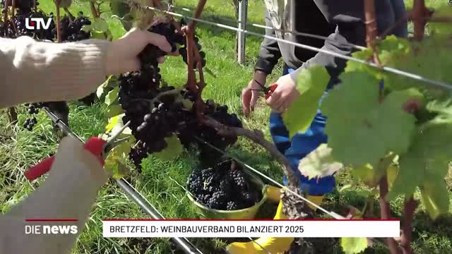 Bretzfeld: Weinbauverband bilanziert 2025