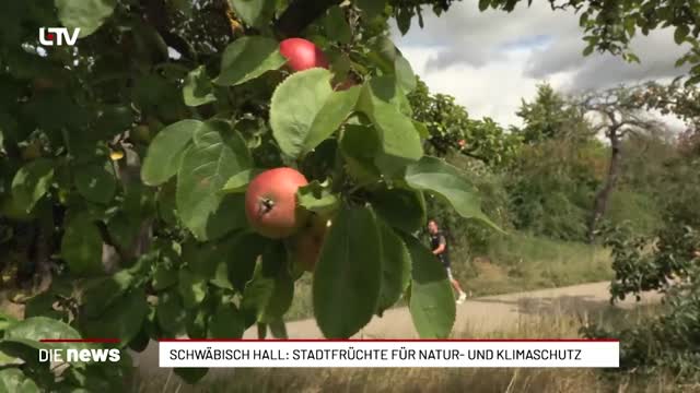 Schwäbisch Hall: Stadtfrüchte für Natur- und Klimaschutz
