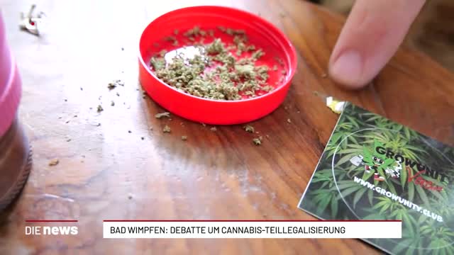 Bad Wimpfen: Debatte um Cannabis-Teillegalisierung