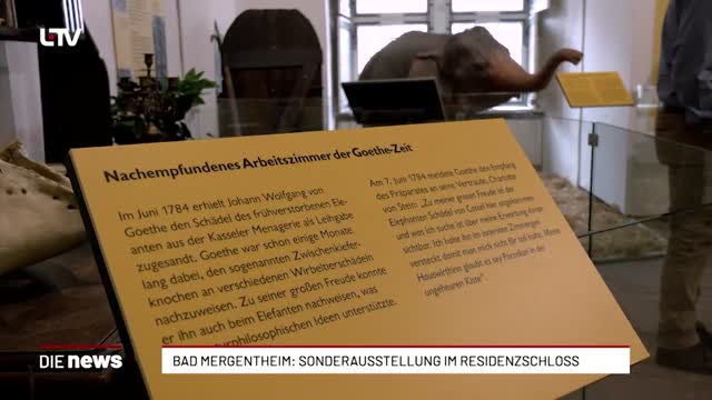 Bad Mergentheim: Sonderausstellung im Residenzschloss