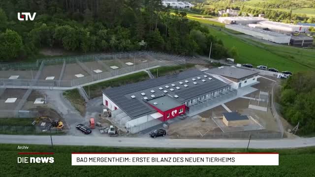 Bad Mergentheim: Erste Bilanz des neuen Tierheims 