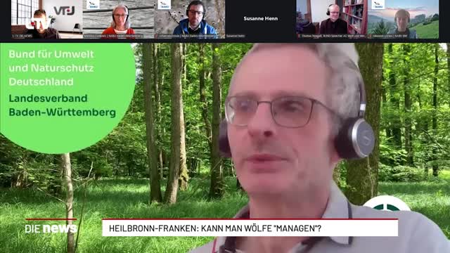 Heilbronn-Franken: Kann man Wölfe "managen"?