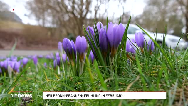 Heilbronn-Franken: Frühling im Februar?