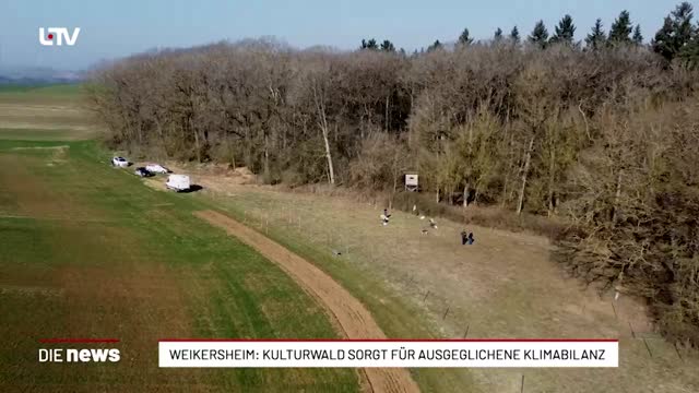 Weikersheim: Kulturwald sorgt für ausgeglichene Klimabilanz 