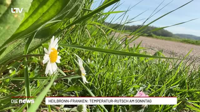 Heilbronn-Franken: Temperatur-Rutsch am Sonntag