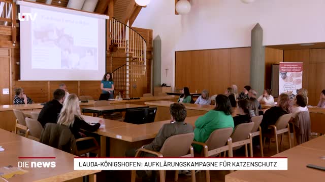 Main-Tauber-Kreis startet Kampagne gegen Katzenleid