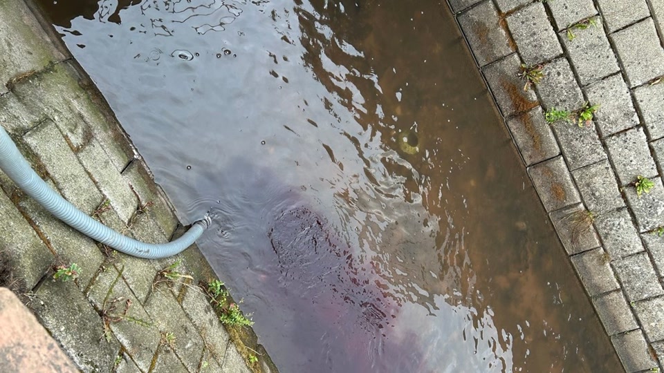 Rheinland-Pfalz: Wein aus 30.000 Liter-Fass fließt in Bach