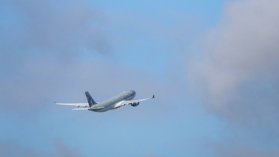 Sechs Menschen aus Rheinland-Pfalz bei Abschiebeflug