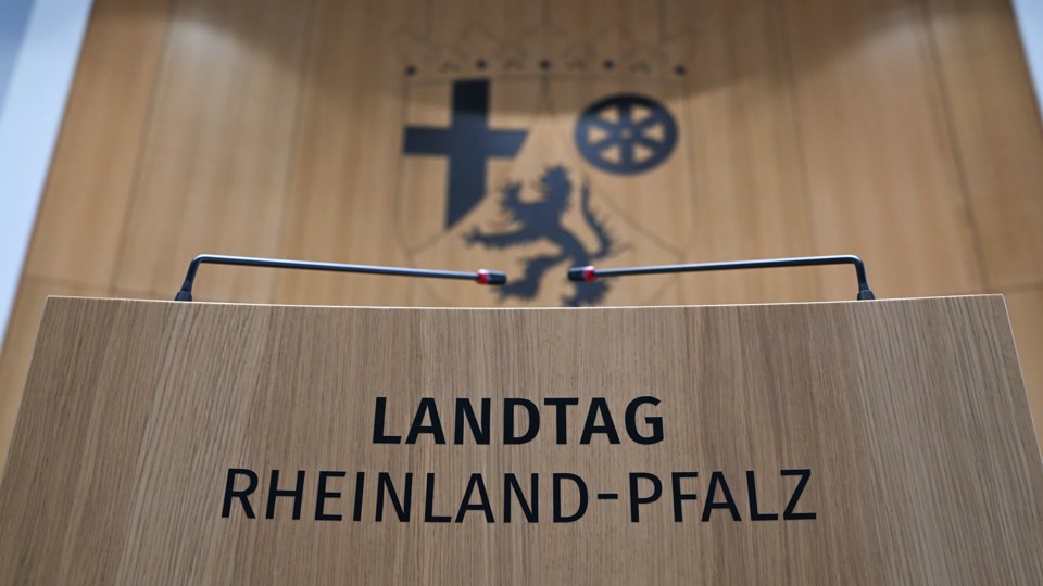 AfD-Fraktion bezahlt offene Rechnung an Landtag