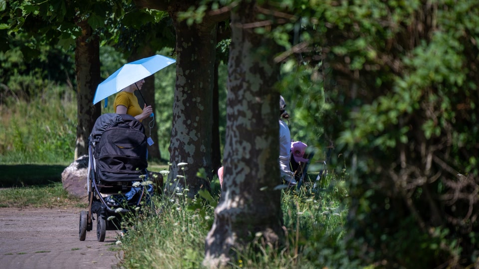 Hier lässt sich der Urlaub daheim genießen