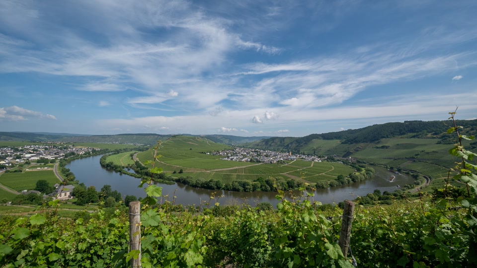 Weinlage darf nicht mehr «Zeller Schwarze Katz» heißen