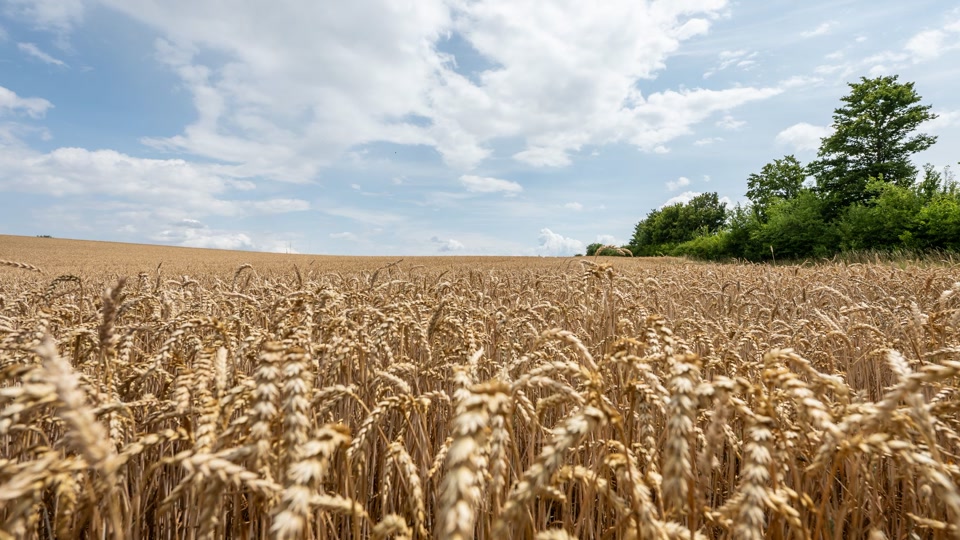 Zurück zur 30-Grad-Marke mit Mix aus Sonne und Wolken