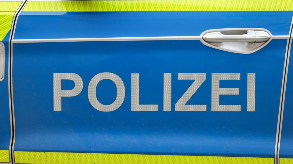 Etwa 10.000 Euro Schaden bei Brand an Weinberg