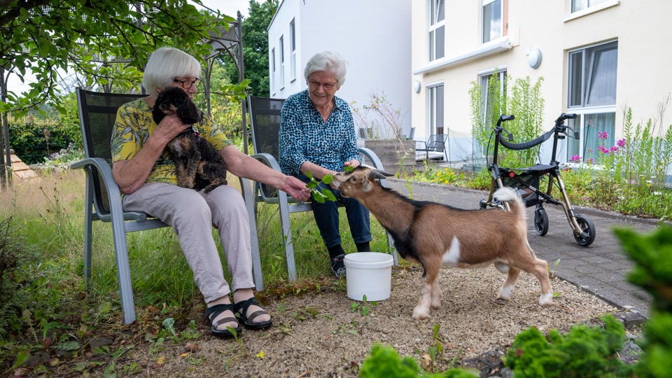 «Glücksmomente» - Was Tiere im Seniorenheim auslösen «Glücksmomente» - Was Tiere im Seniorenheim auslösen