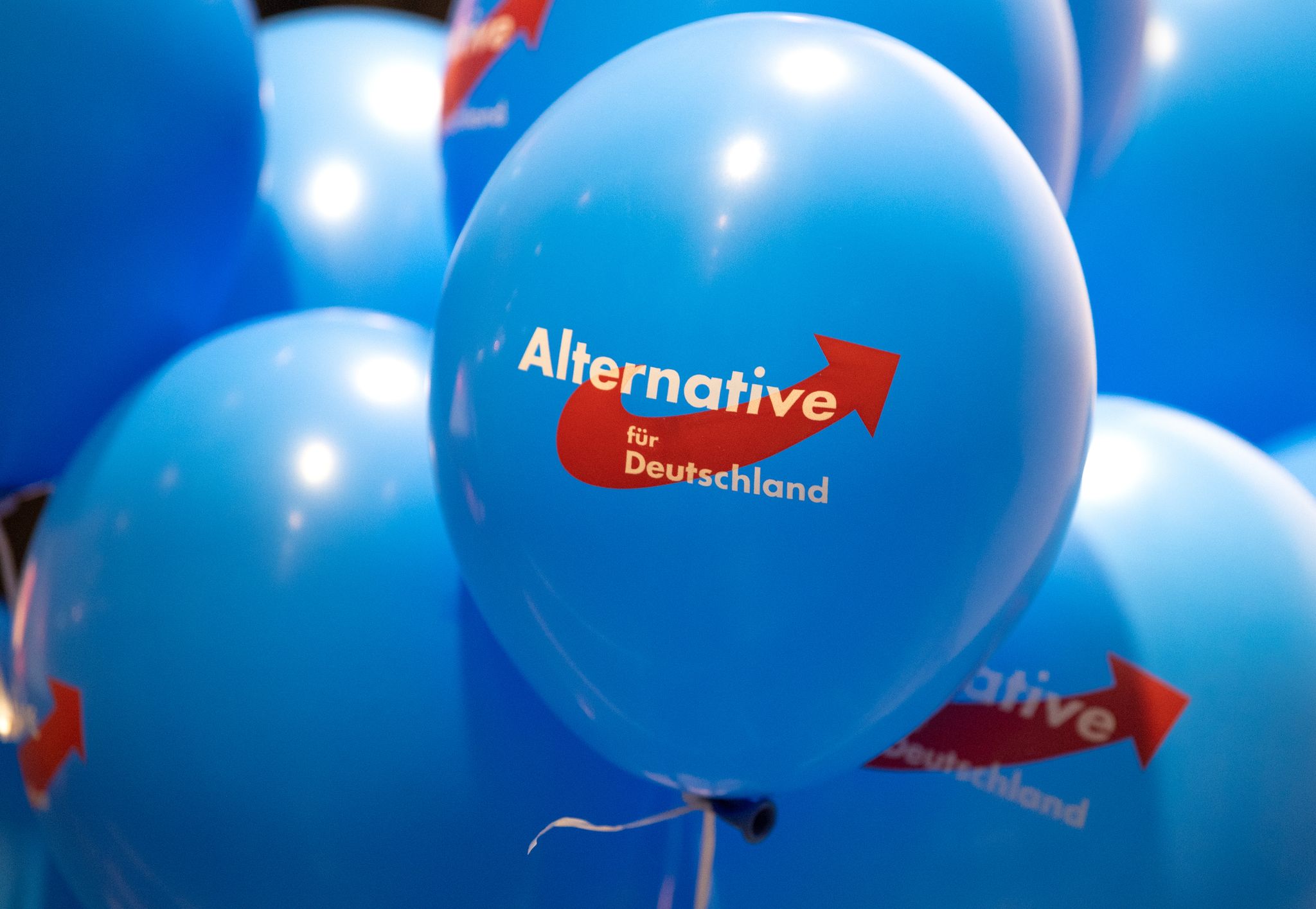 Die AfD verzeichnet einen Mitgliederzuwachs in Rheinland-Pfalz. (Archivbild)