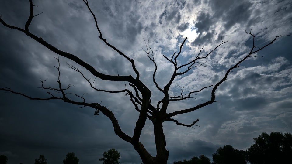 Wolken und Regen in Rheinland-Pfalz und dem Saarland