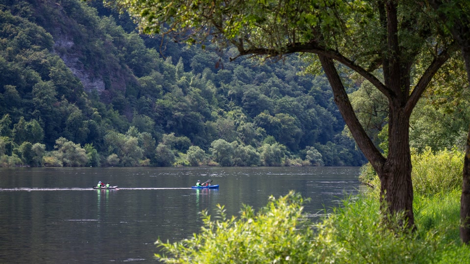 Temperaturen bis 34 Grad in Rheinland-Pfalz und im Saarland