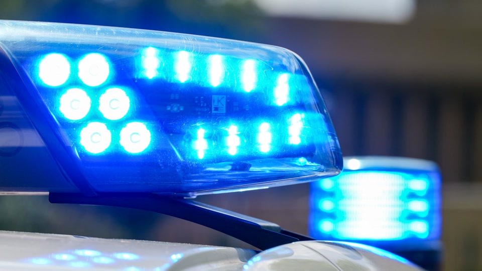 Mann und Hund nach Zwischenfall im Hafen gerettet