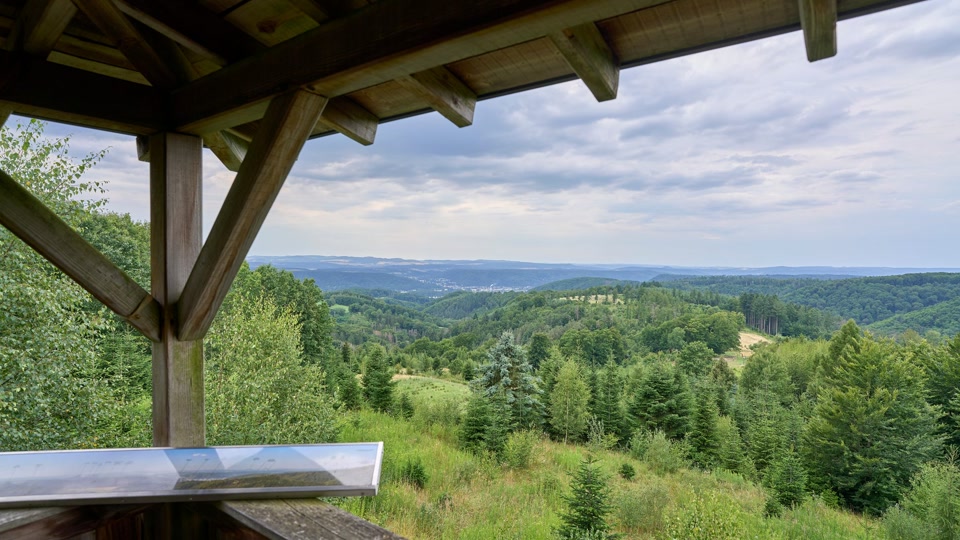 Trotz Regens: Wald ist weiterhin zu trocken